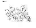 Fig. 02 - Oligosaccharide compounds