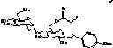 Fig. 19 - Oligosaccharide compounds