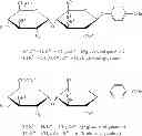 Fig. 22 - Oligosaccharide compounds