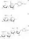 Fig. 23 - Oligosaccharide compounds