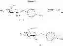 Fig. 34 - Oligosaccharide compounds