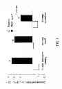 Fig. 02 - Glycerophospholipids for the improvement of cognitive functions