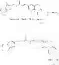 Fig. 30 - Prodrug derivatives of (E)-N-methyl-N-((3-M ethylbenzofuran-2-yl)methyl)-3-(7-oxo-5,6,7,8-tetrahydro-1,8-naphthyridin-3-yl)acrylamide
