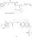 Fig. 33 - Prodrug derivatives of (E)-N-methyl-N-((3-M ethylbenzofuran-2-yl)methyl)-3-(7-oxo-5,6,7,8-tetrahydro-1,8-naphthyridin-3-yl)acrylamide