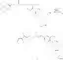 Fig. 37 - Prodrug derivatives of (E)-N-methyl-N-((3-M ethylbenzofuran-2-yl)methyl)-3-(7-oxo-5,6,7,8-tetrahydro-1,8-naphthyridin-3-yl)acrylamide