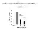 Fig. 07 - Compounds for the treatment of addiction