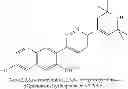 Fig. 115 - 1,4-disubstituted pyridazine analogs there of and methods for treating SMN-deficiency-related conditions