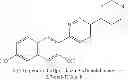 Fig. 117 - 1,4-disubstituted pyridazine analogs there of and methods for treating SMN-deficiency-related conditions