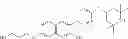 Fig. 124 - 1,4-disubstituted pyridazine analogs there of and methods for treating SMN-deficiency-related conditions
