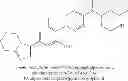 Fig. 160 - 1,4-disubstituted pyridazine analogs there of and methods for treating SMN-deficiency-related conditions