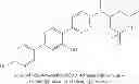 Fig. 207 - 1,4-disubstituted pyridazine analogs there of and methods for treating SMN-deficiency-related conditions
