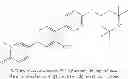 Fig. 211 - 1,4-disubstituted pyridazine analogs there of and methods for treating SMN-deficiency-related conditions