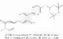 Fig. 212 - 1,4-disubstituted pyridazine analogs there of and methods for treating SMN-deficiency-related conditions