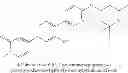 Fig. 216 - 1,4-disubstituted pyridazine analogs there of and methods for treating SMN-deficiency-related conditions