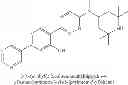 Fig. 217 - 1,4-disubstituted pyridazine analogs there of and methods for treating SMN-deficiency-related conditions