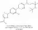Fig. 233 - 1,4-disubstituted pyridazine analogs there of and methods for treating SMN-deficiency-related conditions