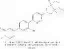 Fig. 241 - 1,4-disubstituted pyridazine analogs there of and methods for treating SMN-deficiency-related conditions