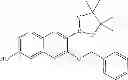 Fig. 27 - 1,4-disubstituted pyridazine analogs there of and methods for treating SMN-deficiency-related conditions