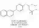 Fig. 49 - 1,4-disubstituted pyridazine analogs there of and methods for treating SMN-deficiency-related conditions