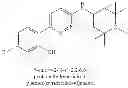 Fig. 57 - 1,4-disubstituted pyridazine analogs there of and methods for treating SMN-deficiency-related conditions