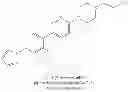 Fig. 99 - 1,4-disubstituted pyridazine analogs there of and methods for treating SMN-deficiency-related conditions