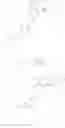 Fig. 35 - NEW COMPOUNDS