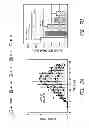 Fig. 08 - MST1 KINASE INHIBITORS AND METHODS OF THEIR USE