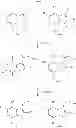 Fig. 67 - SUBSTITUTED INDOLE COMPOUNDS HAVING NOS INHIBITORY ACTIVITY