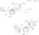 Fig. 07 - Oxazine derivatives and a pharmaceutical composition for inhibiting BACE1 containing them