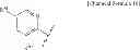 Fig. 21 - Oxazine derivatives and a pharmaceutical composition for inhibiting BACE1 containing them