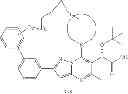 Fig. 13 - Inhibitors of human immunodeficiency virus replication