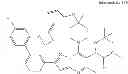 Fig. 211 - Inhibitors of human immunodeficiency virus replication