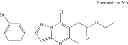 Fig. 299 - Inhibitors of human immunodeficiency virus replication