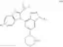 Fig. 15 - PI3K (delta) SELECTIVE INHIBITORS