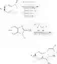 Fig. 06 - Small-molecule agonists for type-2 orexin receptor