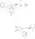 Fig. 202 - Use of aminoindane compounds in treating overactive bladder and interstitial cystitis