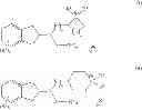 Fig. 256 - Use of aminoindane compounds in treating overactive bladder and interstitial cystitis