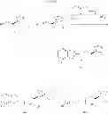 Fig. 51 - Use of aminoindane compounds in treating overactive bladder and interstitial cystitis