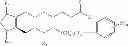 Fig. 05 - Hypotensive lipid and timolol compositions and methods of using same