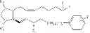 Fig. 06 - Hypotensive lipid and timolol compositions and methods of using same