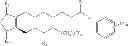 Fig. 10 - Hypotensive lipid and timolol compositions and methods of using same