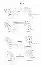 Fig. 02 - ALPHA HELIX MIMETICS AND METHODS RELATING THERETO