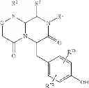 Fig. 14 - ALPHA HELIX MIMETICS AND METHODS RELATING THERETO