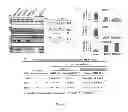 Fig. 05 - Compositions and Methods for Treating Myotonic Dystrophy Type 1