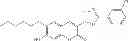 Fig. 14 - Compositions and Methods for Treating Myotonic Dystrophy Type 1