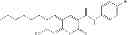 Fig. 23 - Compositions and Methods for Treating Myotonic Dystrophy Type 1