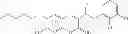Fig. 24 - Compositions and Methods for Treating Myotonic Dystrophy Type 1