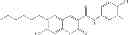 Fig. 25 - Compositions and Methods for Treating Myotonic Dystrophy Type 1