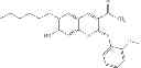 Fig. 28 - Compositions and Methods for Treating Myotonic Dystrophy Type 1