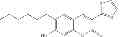Fig. 29 - Compositions and Methods for Treating Myotonic Dystrophy Type 1